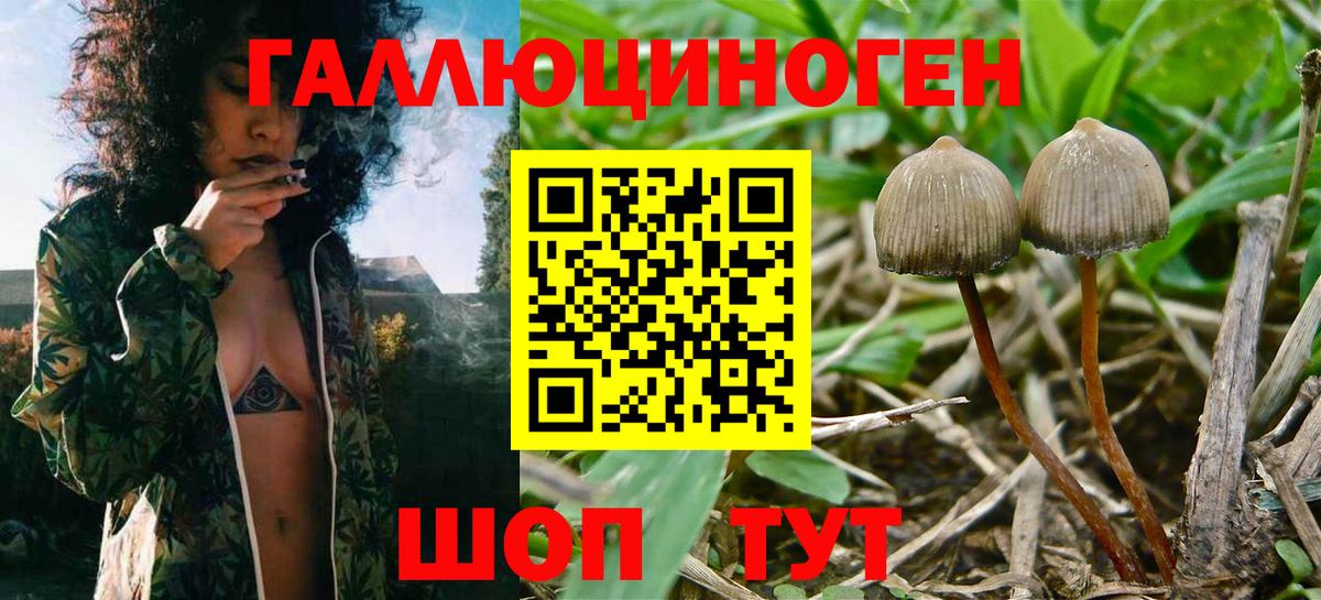 Галлюциногенные грибы мицелий Истра